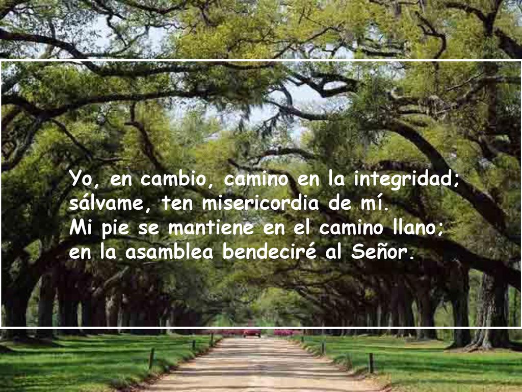 Yo, en cambio, camino en la integridad; sálvame, ten misericordia de mí.