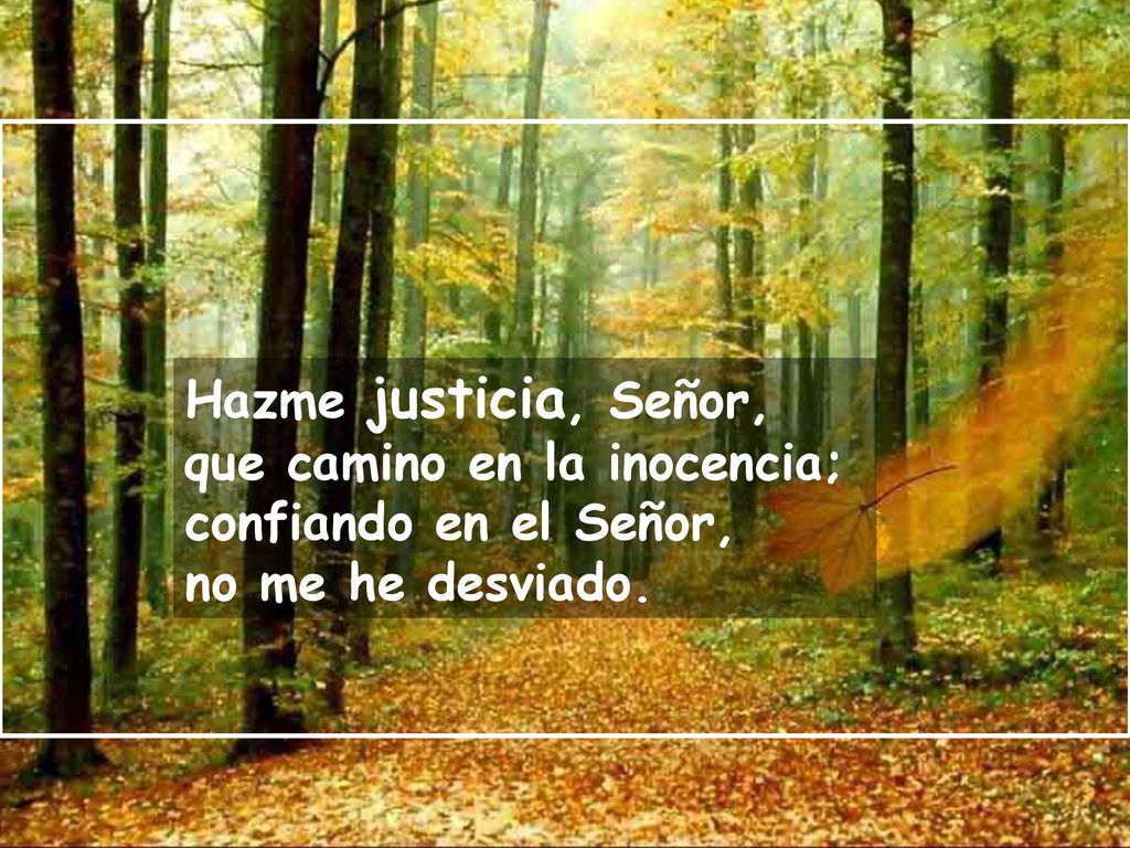 Hazme justicia, Señor, que camino en la inocencia; confiando en el Señor, no me he desviado.