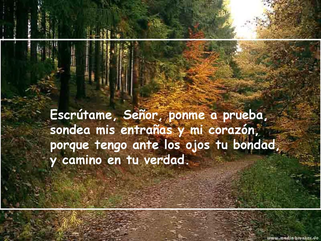 Escrútame, Señor, ponme a prueba, sondea mis entrañas y mi corazón, porque tengo ante los ojos tu bondad, y camino en tu verdad.