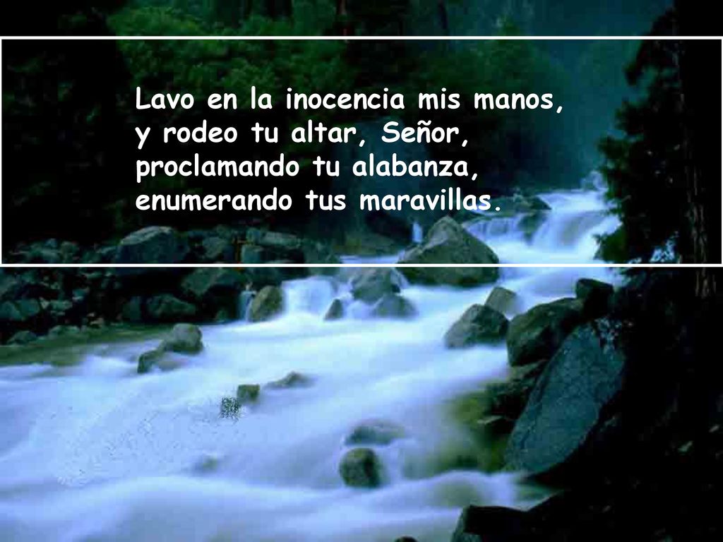 Lavo en la inocencia mis manos, y rodeo tu altar, Señor, proclamando tu alabanza, enumerando tus maravillas.
