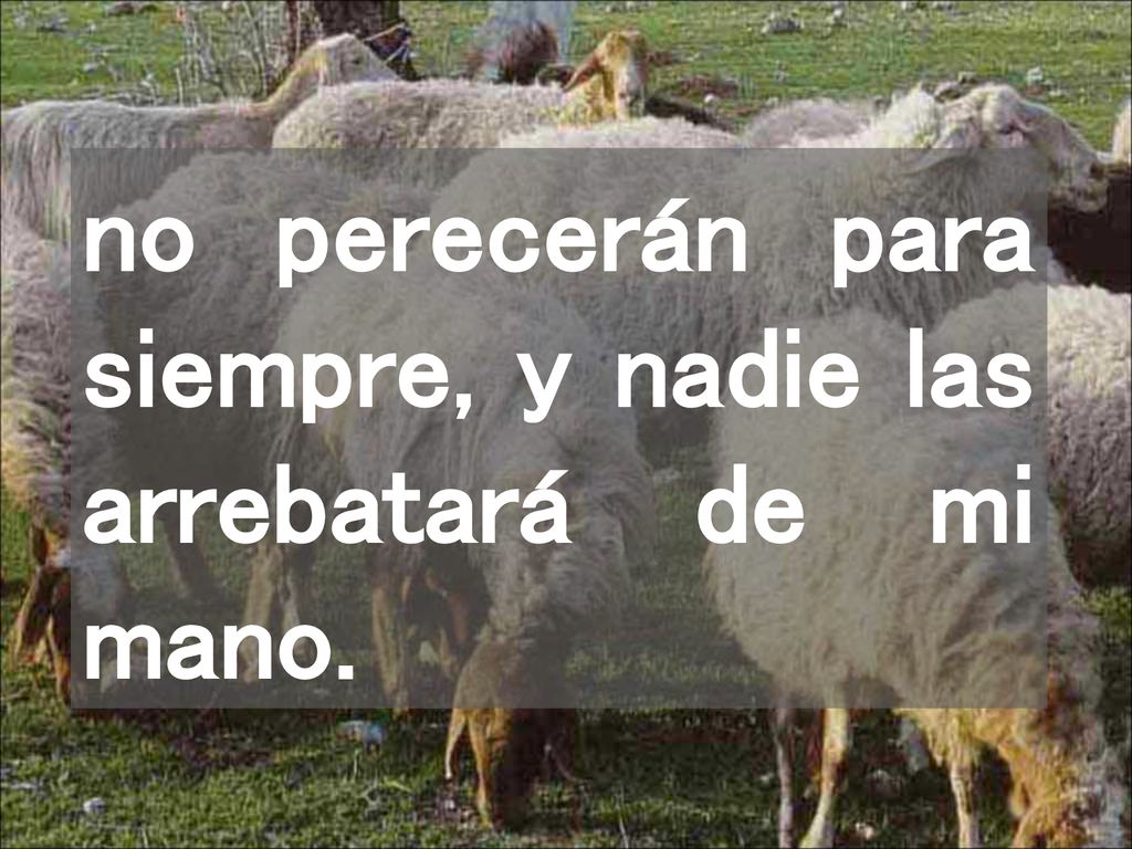 no perecerán para siempre, y nadie las arrebatará de mi mano.