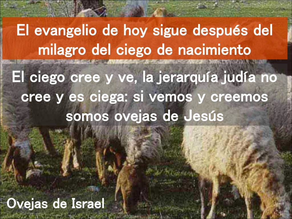 El evangelio de hoy sigue después del milagro del ciego de nacimiento