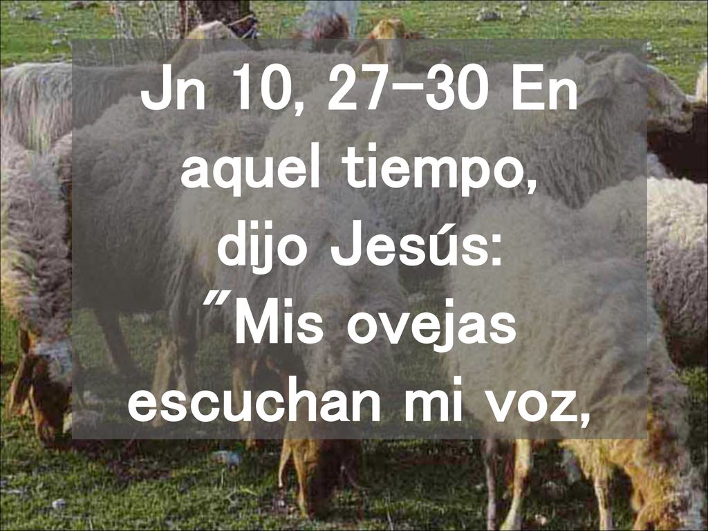 Jn 10, En aquel tiempo, dijo Jesús: Mis ovejas escuchan mi voz,
