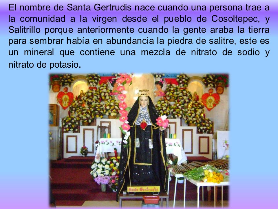 El nombre de Santa Gertrudis nace cuando una persona trae a la comunidad a la virgen desde el pueblo de Cosoltepec, y Salitrillo porque anteriormente cuando la gente araba la tierra para sembrar había en abundancia la piedra de salitre, este es un mineral que contiene una mezcla de nitrato de sodio y nitrato de potasio.