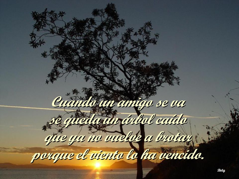 Cuando un amigo se va se queda un árbol caído que ya no vuelve a brotar porque el viento lo ha vencido.