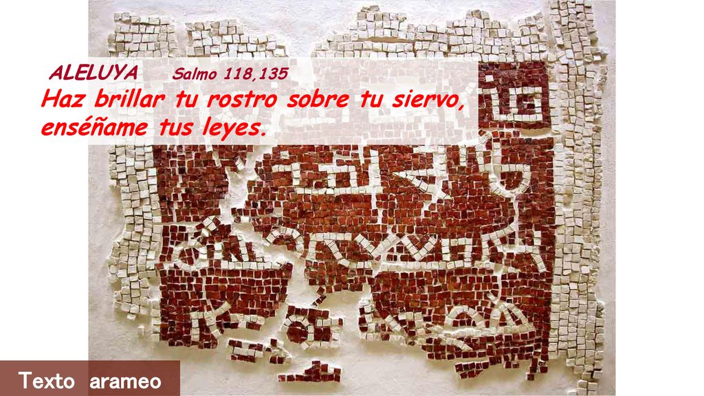 Haz brillar tu rostro sobre tu siervo, enséñame tus leyes.