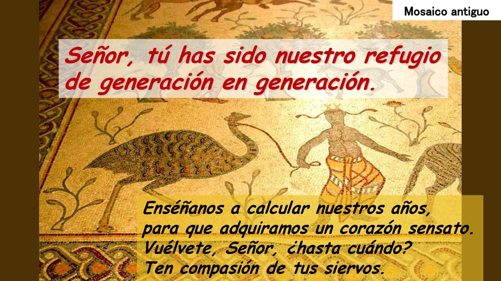 Señor, tú has sido nuestro refugio de generación en generación.