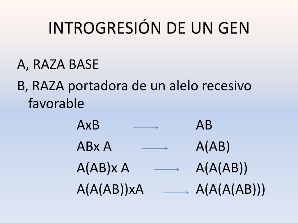 INTROGRESIÓN DE UN GEN A, RAZA BASE B, RAZA portadora de un alelo recesivo favorable AxB AB ABx A A(AB) A(AB)x A A(A(AB)) A(A(AB))xA A(A(A(AB)))