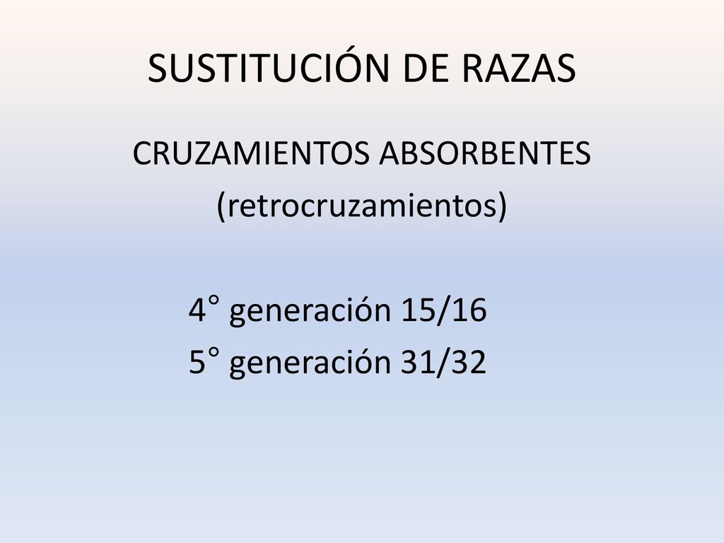SUSTITUCIÓN DE RAZAS CRUZAMIENTOS ABSORBENTES (retrocruzamientos) 4° generación 15/16 5° generación 31/32