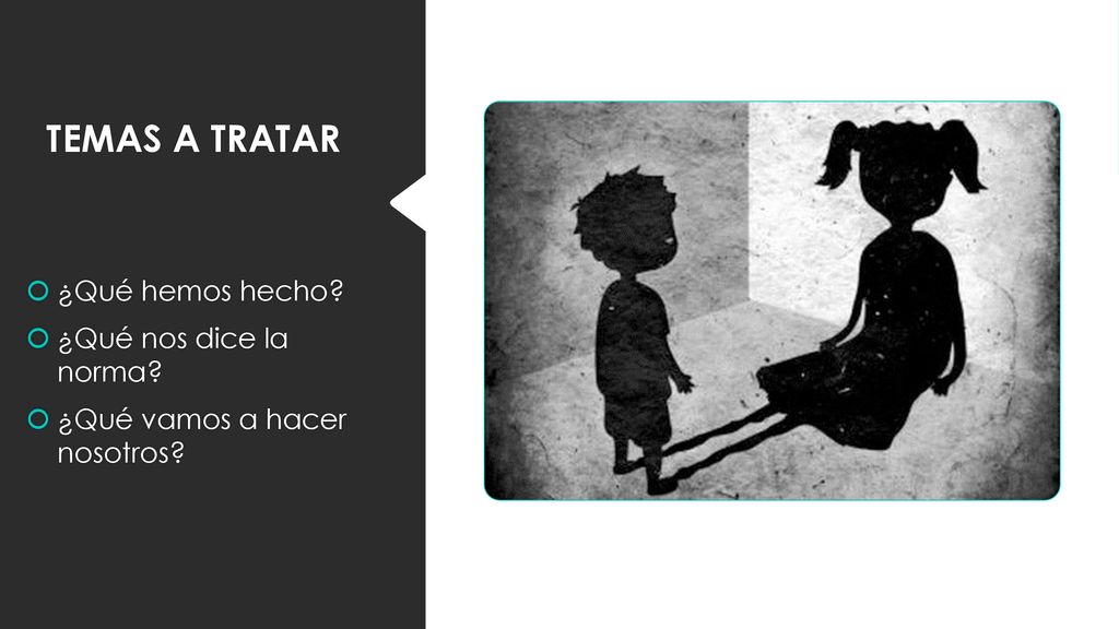 TEMAS A TRATAR ¿Qué hemos hecho ¿Qué nos dice la norma