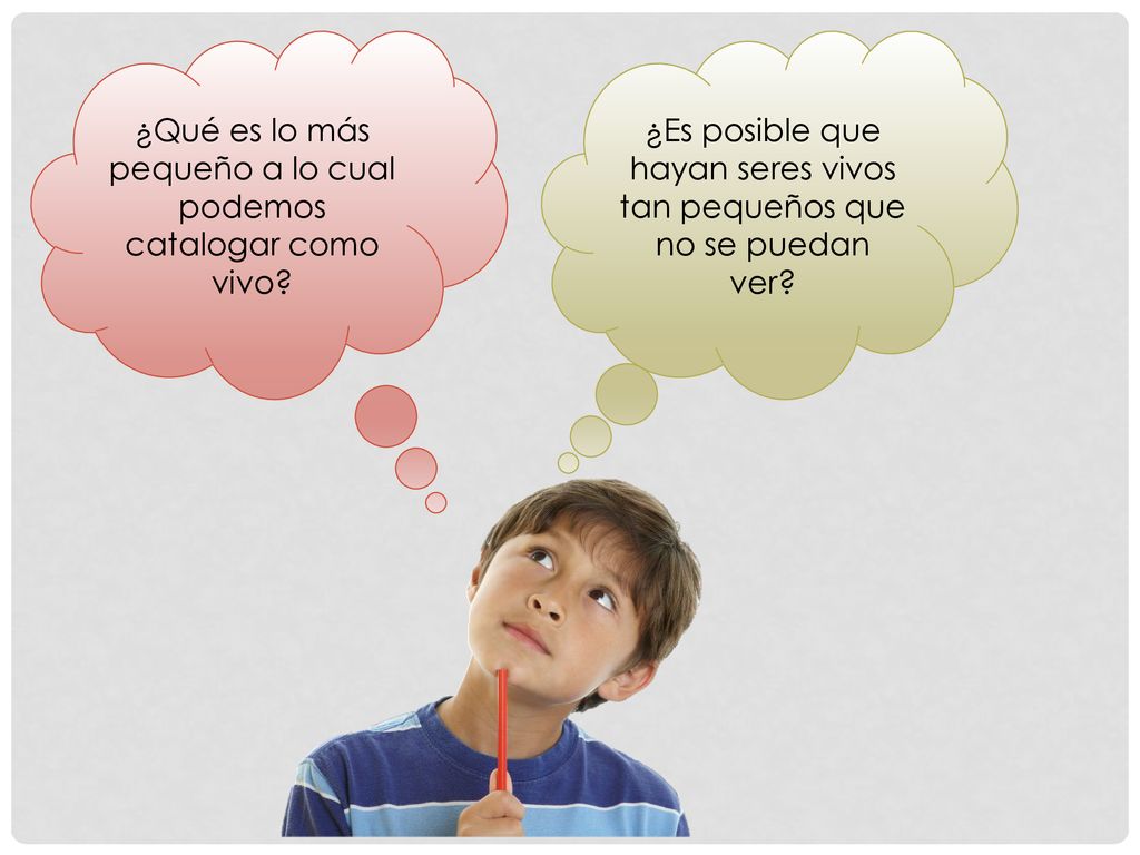 ¿Qué es lo más pequeño a lo cual podemos catalogar como vivo