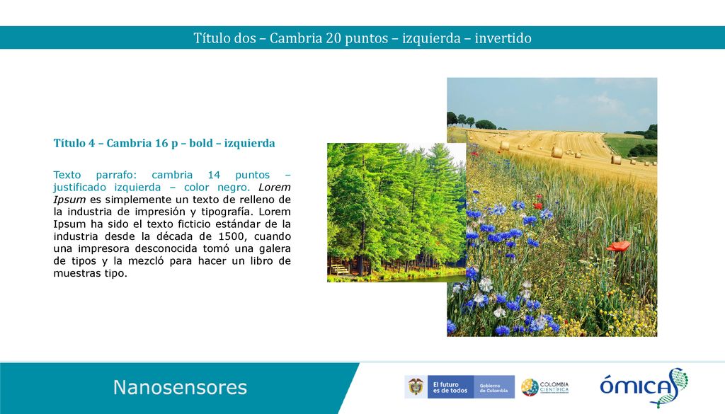 Título dos – Cambria 20 puntos – izquierda – invertido