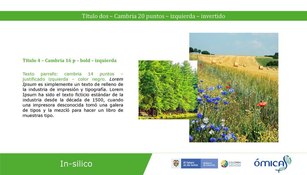 Título dos – Cambria 20 puntos – izquierda – invertido
