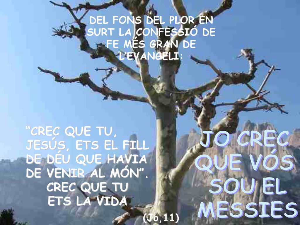 DEL FONS DEL PLOR EN SURT LA CONFESSIÓ DE FE MÉS GRAN DE L’EVANGELI: