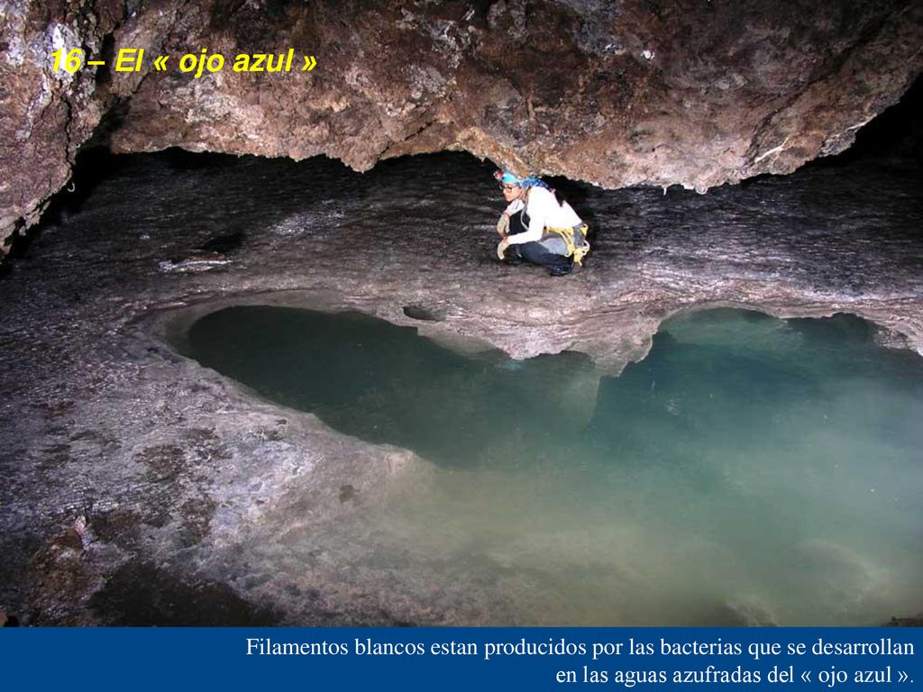 16 – El « ojo azul » Filamentos blancos estan producidos por las bacterias que se desarrollan.