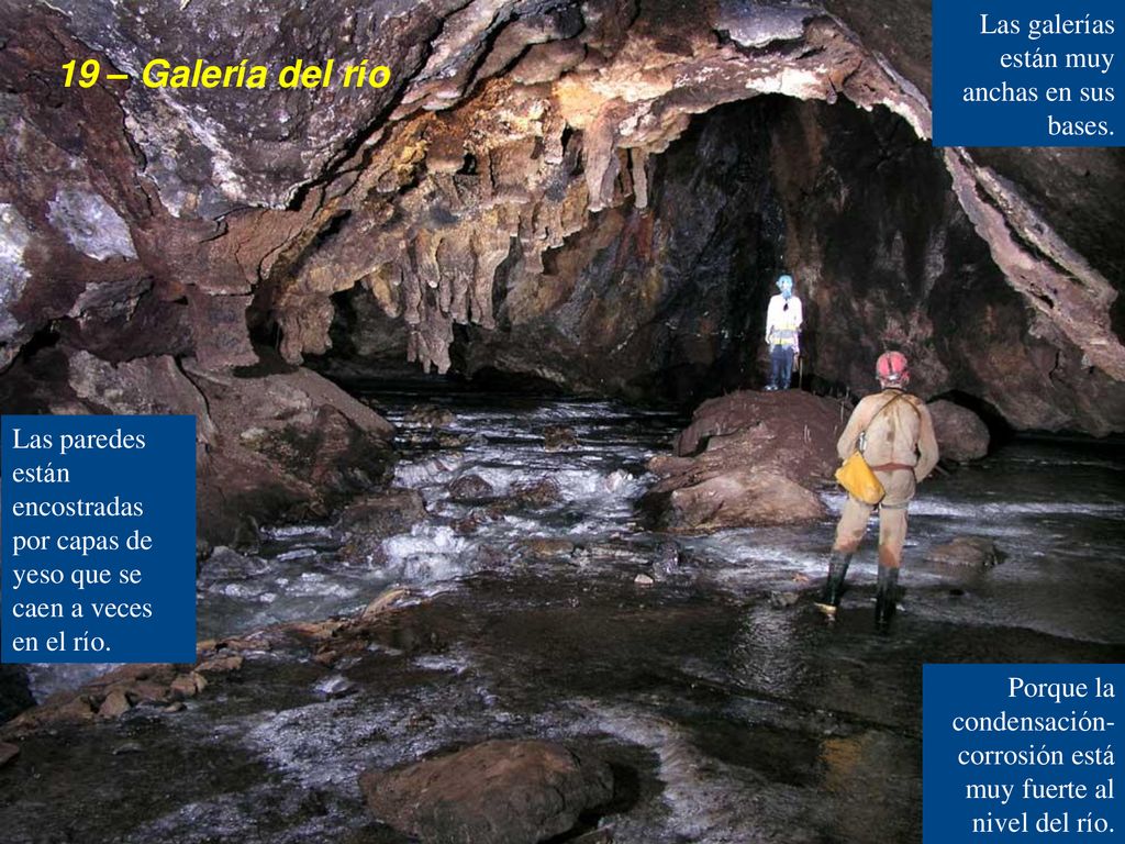 19 – Galería del río Las galerías están muy anchas en sus bases.
