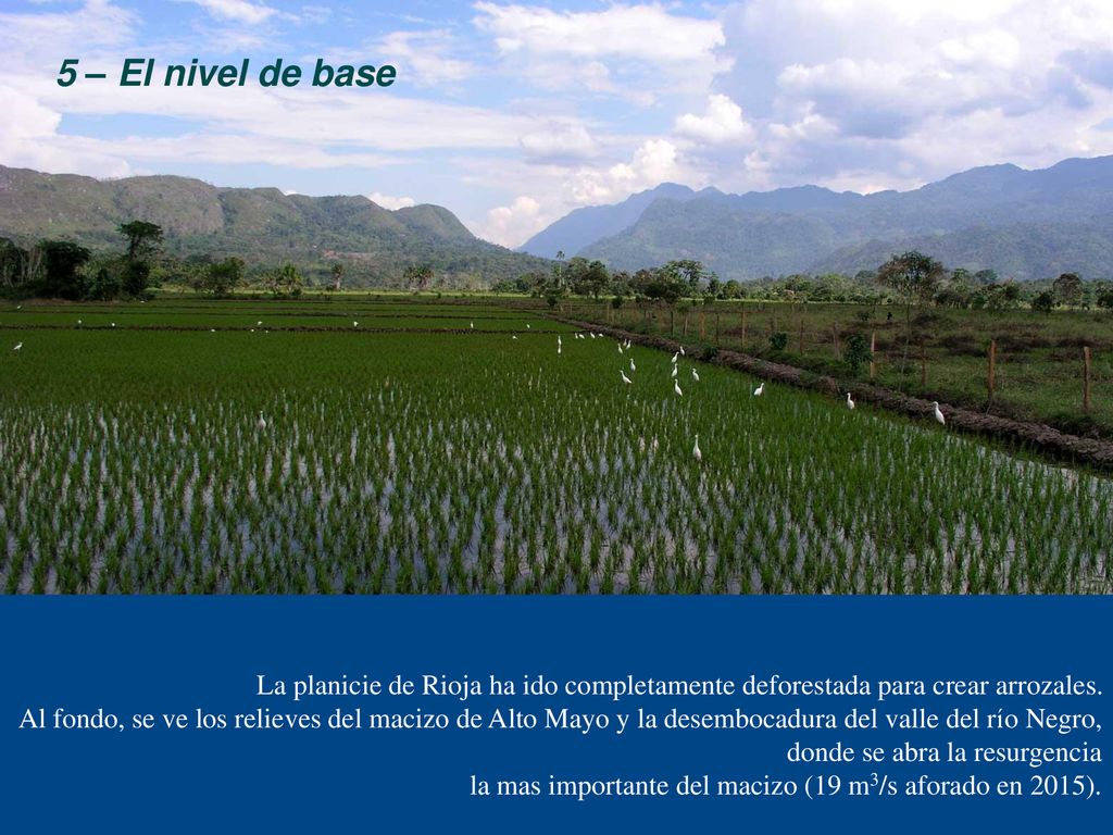 5 – El nivel de base La planicie de Rioja ha ido completamente deforestada para crear arrozales.