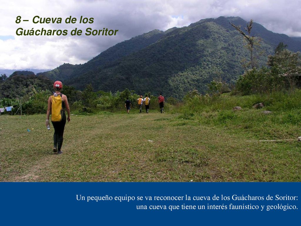 8 – Cueva de los Guácharos de Soritor