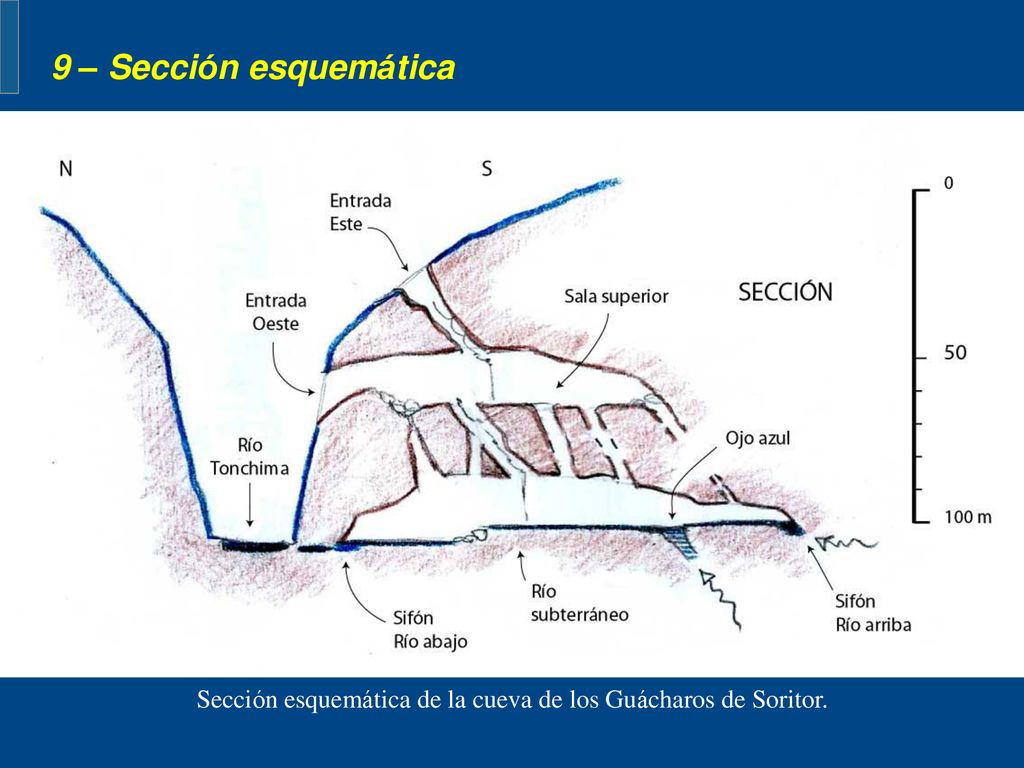 Sección esquemática de la cueva de los Guácharos de Soritor.