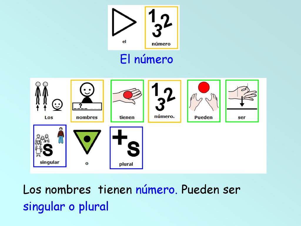 El número Los nombres tienen número. Pueden ser singular o plural
