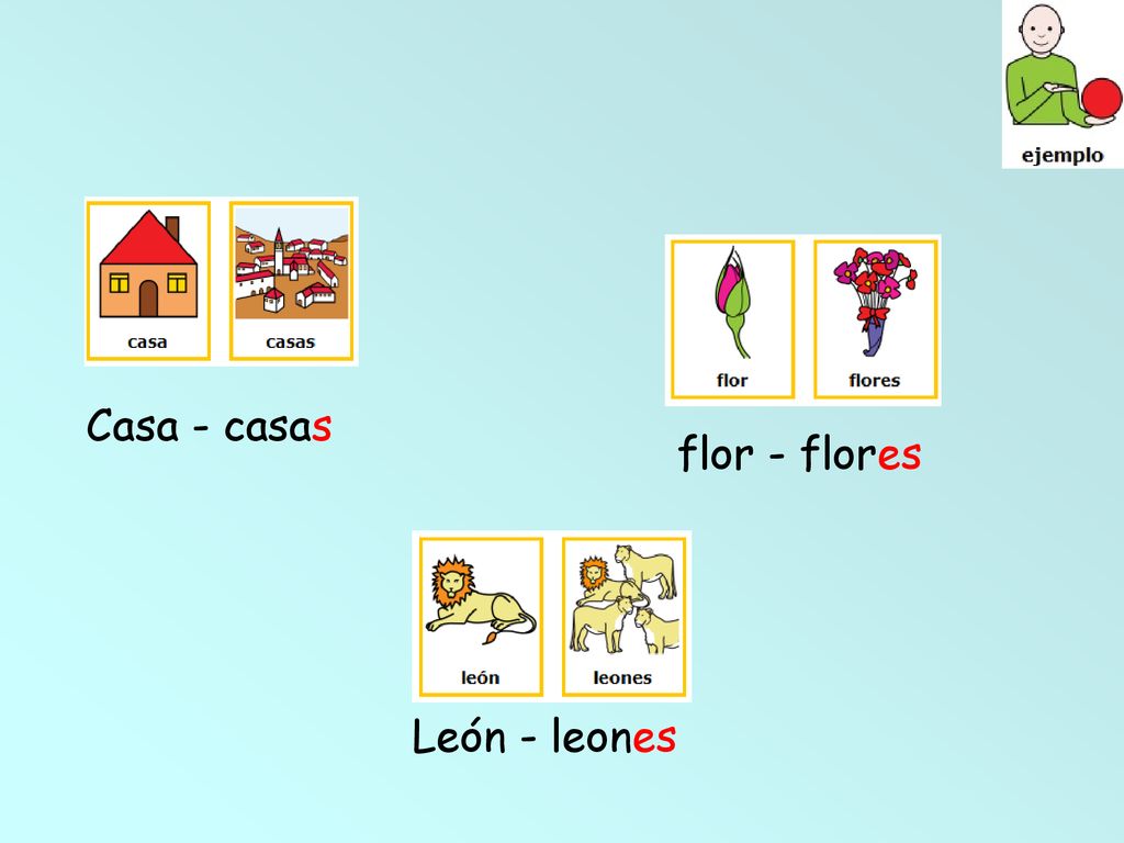 Casa - casas flor - flores León - leones