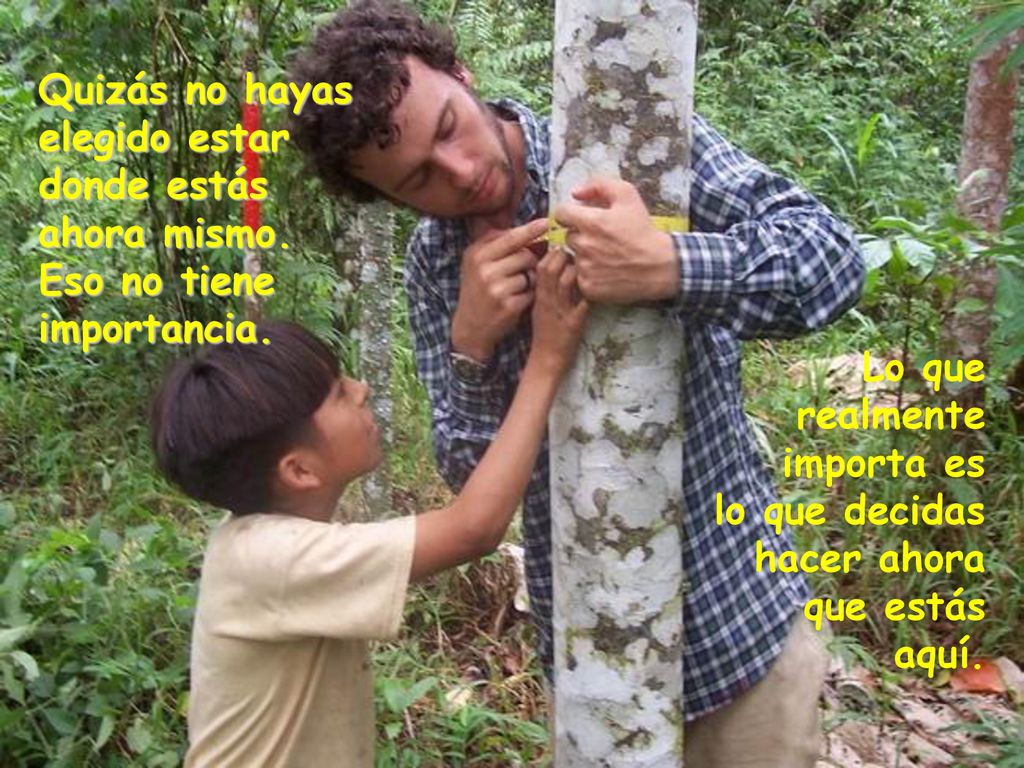 Quizás no hayas elegido estar donde estás ahora mismo
