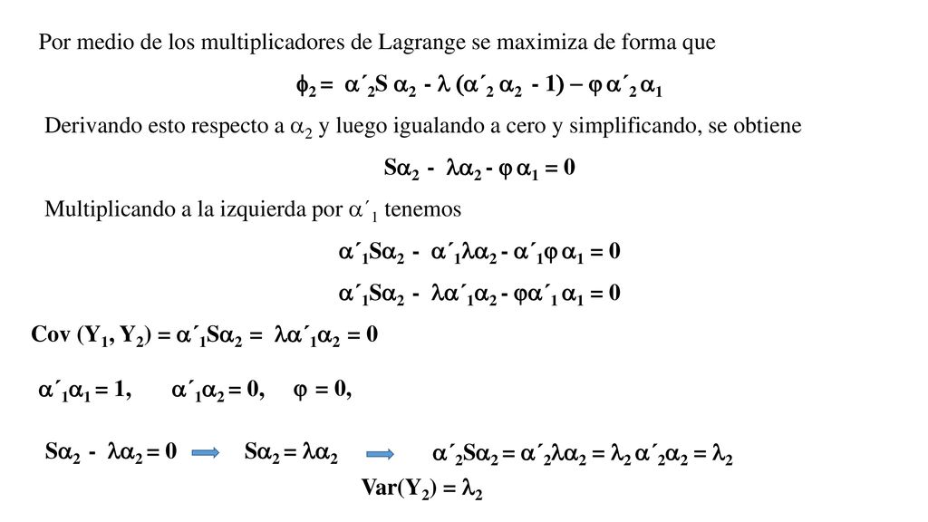 Por medio de los multiplicadores de Lagrange se maximiza de forma que