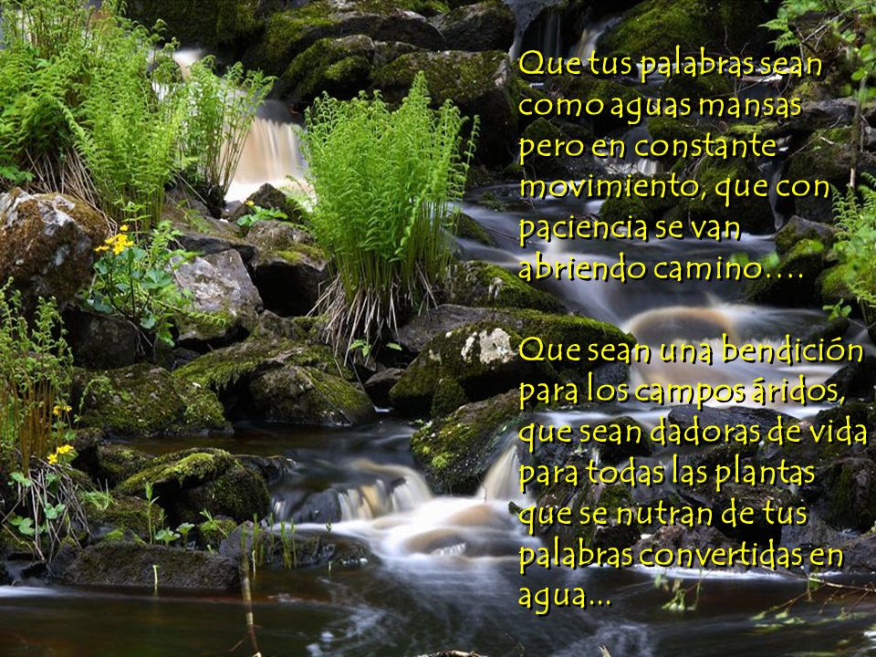 Que tus palabras sean como aguas mansas pero en constante movimiento, que con paciencia se van abriendo camino….
