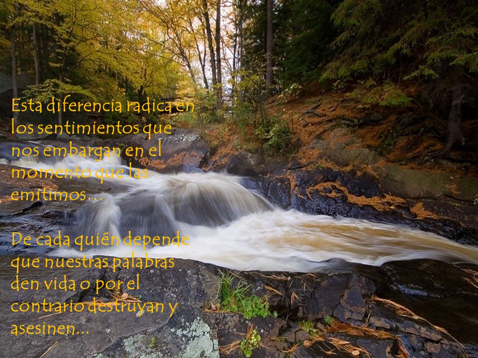 Esta diferencia radica en los sentimientos que nos embargan en el momento que las emitimos…