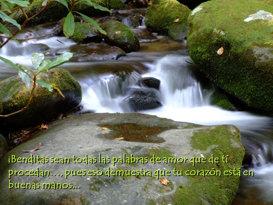 ¡Benditas sean todas las palabras de amor que de tí procedan…, pues eso demuestra que tu corazón está en buenas manos...