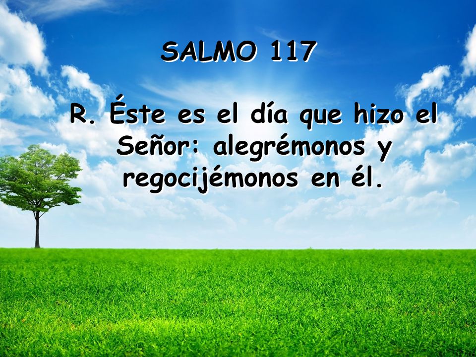 SALMO 117 R. Éste es el día que hizo el Señor: alegrémonos y regocijémonos en él.