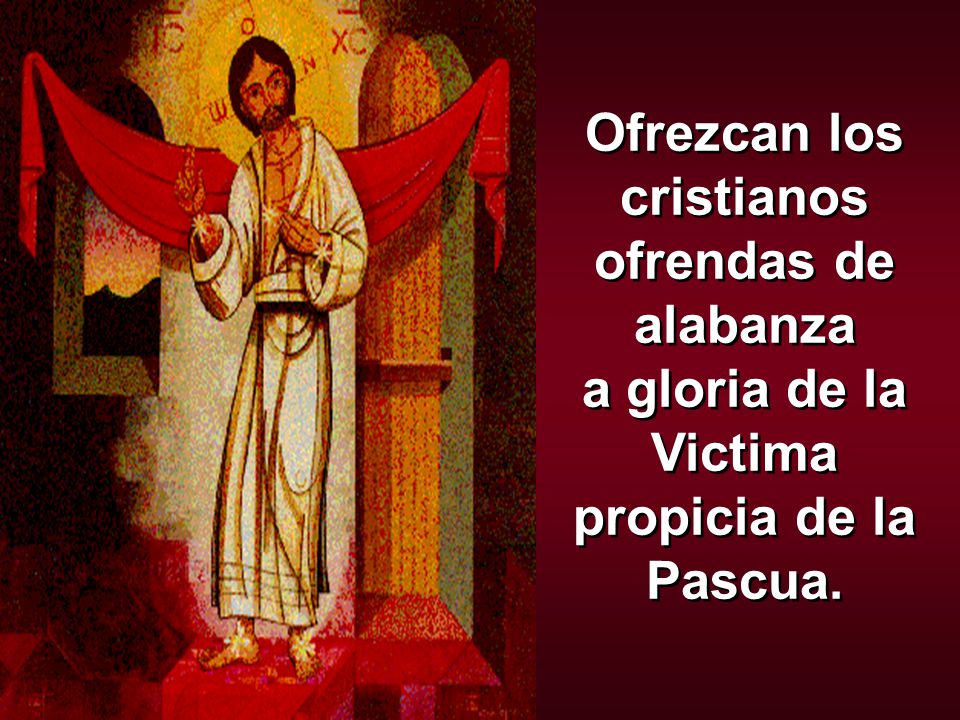 Ofrezcan los cristianos ofrendas de alabanza a gloria de la Victima propicia de la Pascua.