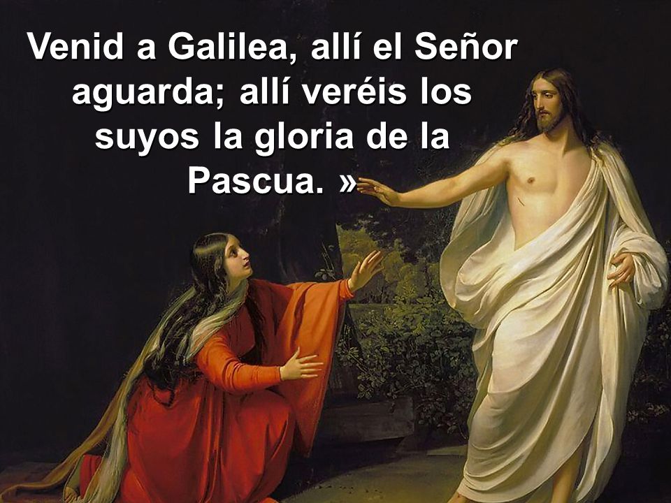 Venid a Galilea, allí el Señor aguarda; allí veréis los suyos la gloria de la Pascua. »