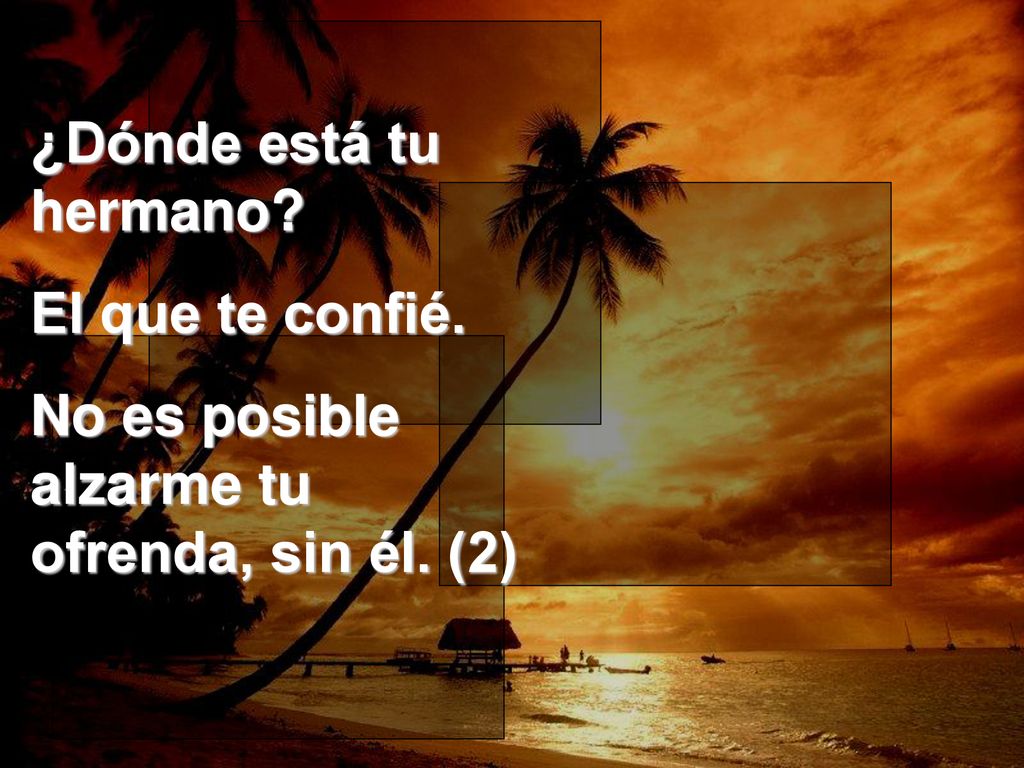 ¿Dónde está tu hermano El que te confié. No es posible alzarme tu ofrenda, sin él. (2)