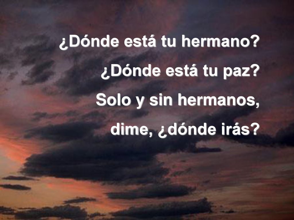 ¿Dónde está tu hermano ¿Dónde está tu paz Solo y sin hermanos, dime, ¿dónde irás