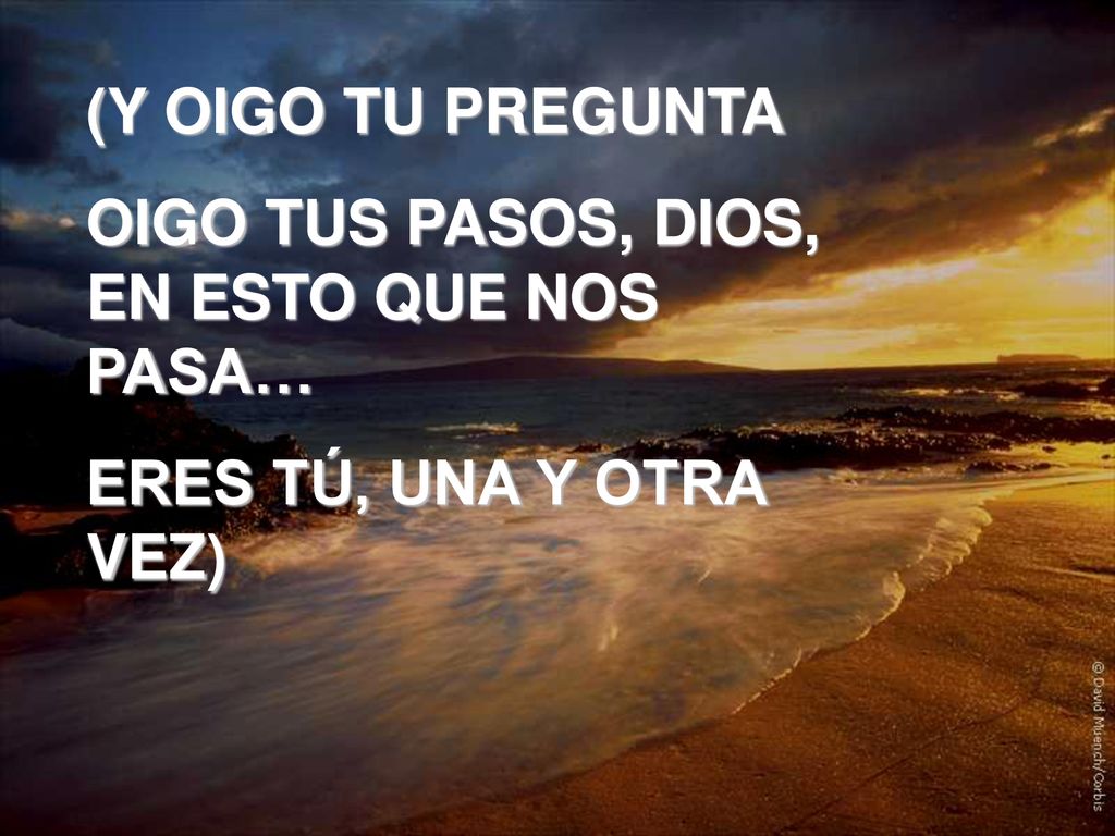 (Y OIGO TU PREGUNTA OIGO TUS PASOS, DIOS, EN ESTO QUE NOS PASA… ERES TÚ, UNA Y OTRA VEZ)