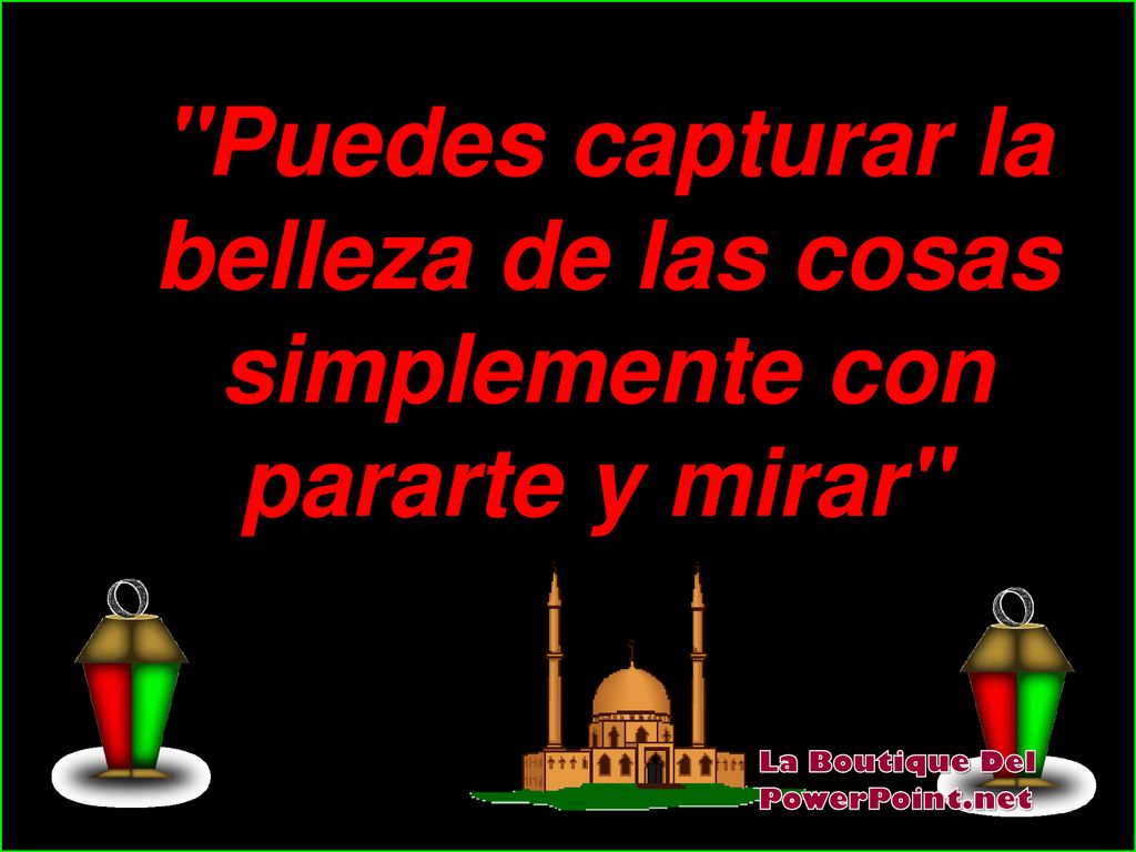 Puedes capturar la belleza de las cosas simplemente con pararte y mirar