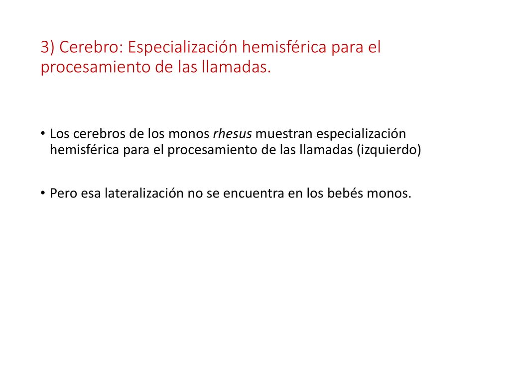 3) Cerebro: Especialización hemisférica para el procesamiento de las llamadas.