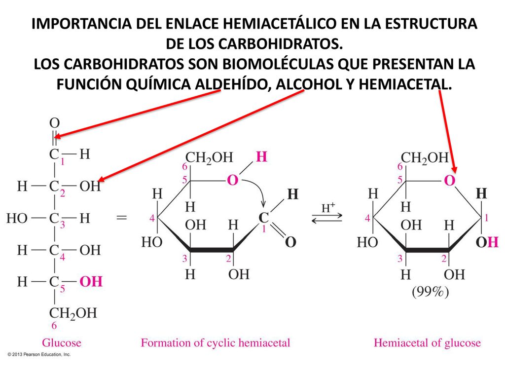 IMPORTANCIA DEL ENLACE HEMIACETÁLICO EN LA ESTRUCTURA DE LOS CARBOHIDRATOS.