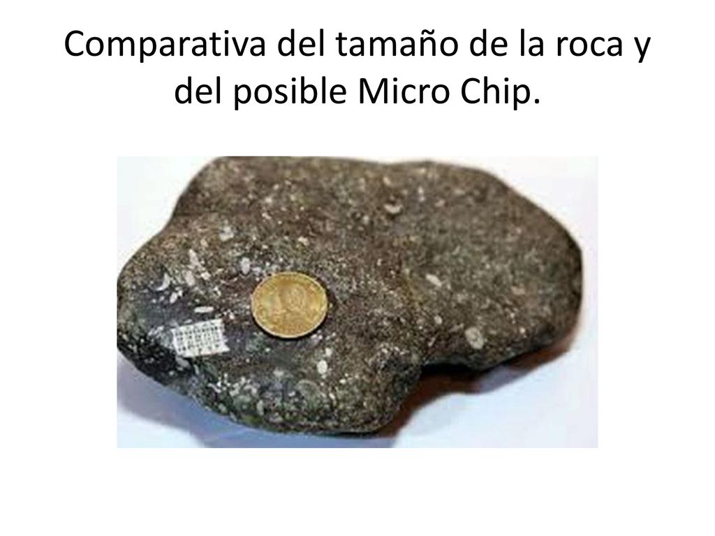 Comparativa del tamaño de la roca y del posible Micro Chip.