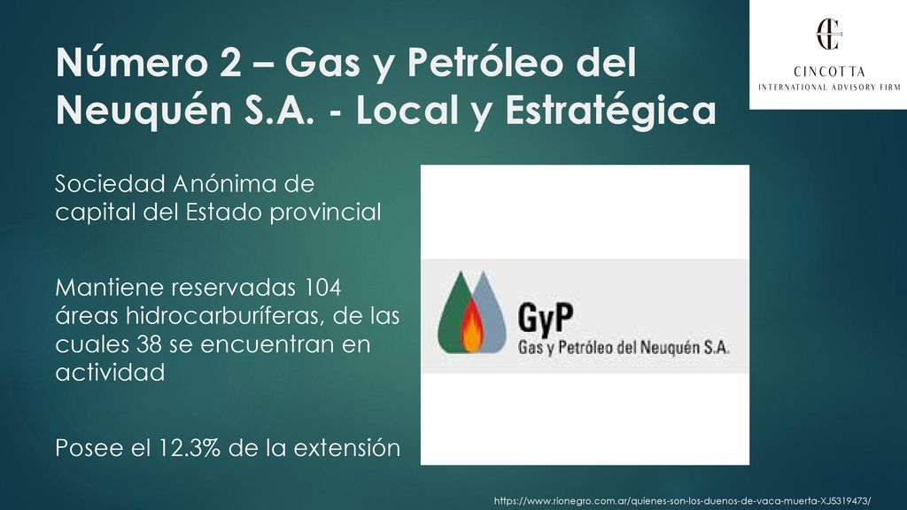 Número 2 – Gas y Petróleo del Neuquén S.A. - Local y Estratégica