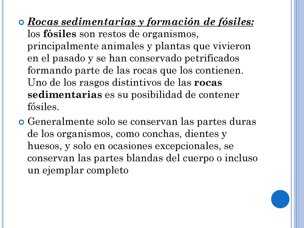 Rocas sedimentarias y formación de fósiles: los fósiles son restos de organismos, principalmente animales y plantas que vivieron en el pasado y se han conservado petrificados formando parte de las rocas que los contienen. Uno de los rasgos distintivos de las rocas sedimentarias es su posibilidad de contener fósiles.