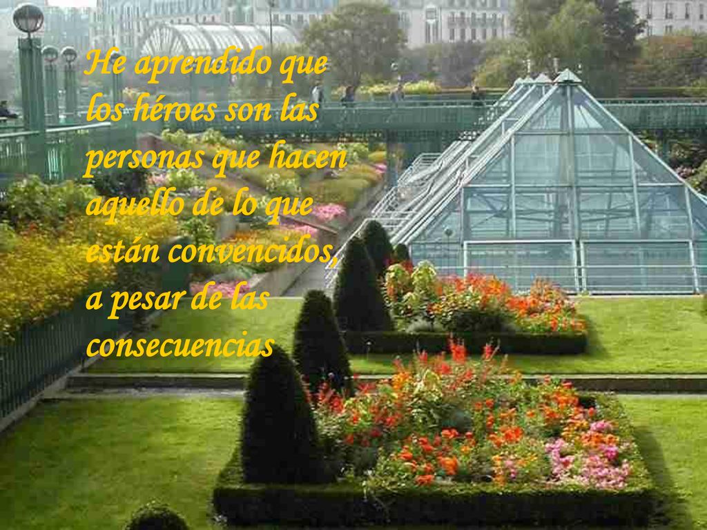 He aprendido que los héroes son las personas que hacen aquello de lo que están convencidos, a pesar de las consecuencias