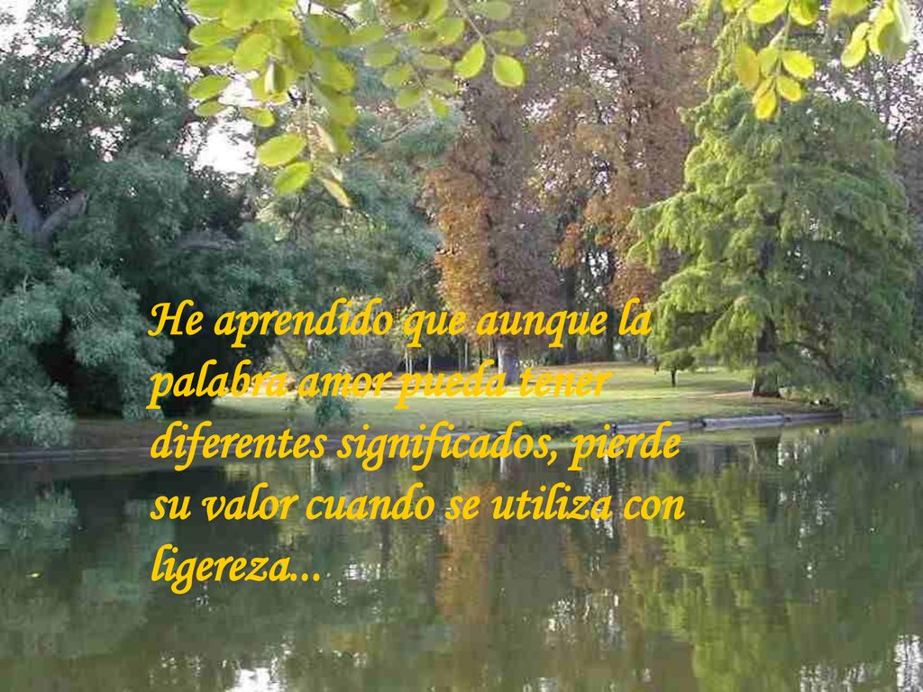 He aprendido que aunque la palabra amor pueda tener diferentes significados, pierde su valor cuando se utiliza con ligereza...