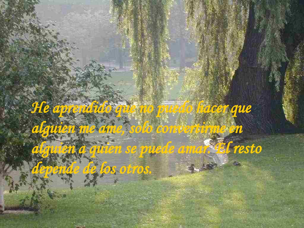 He aprendido que no puedo hacer que alguien me ame, solo convertirme en alguien a quien se puede amar.