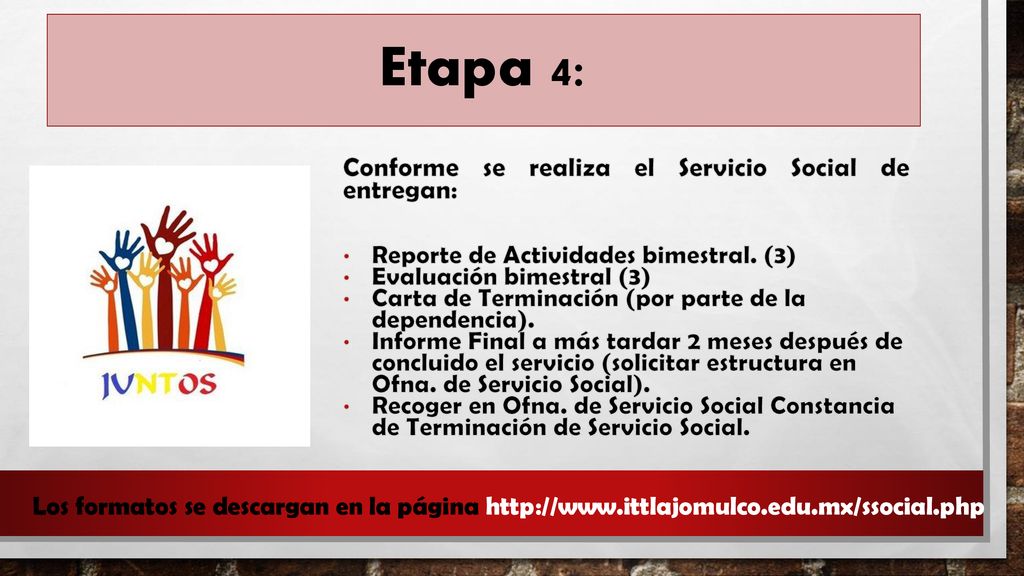Etapa 4: Conforme se realiza el Servicio Social de entregan: