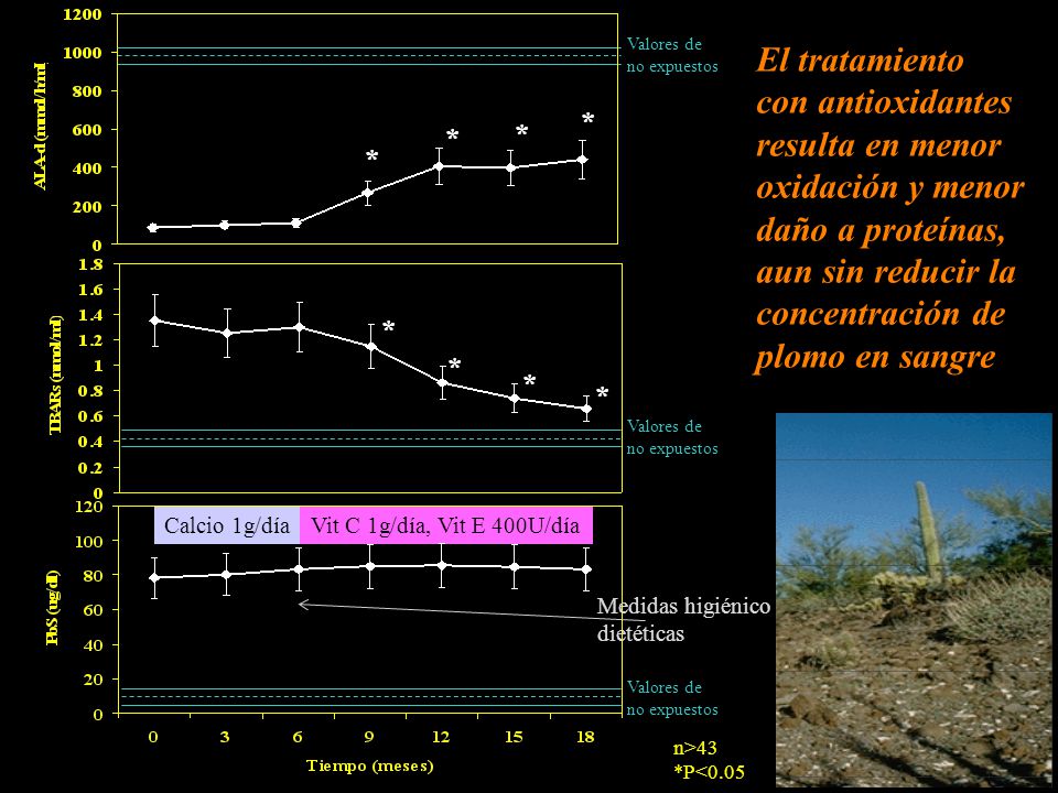 * Valores de. no expuestos. Calcio 1g/día. Vit C 1g/día, Vit E 400U/día. n>43. *P<0.05. Medidas higiénico.