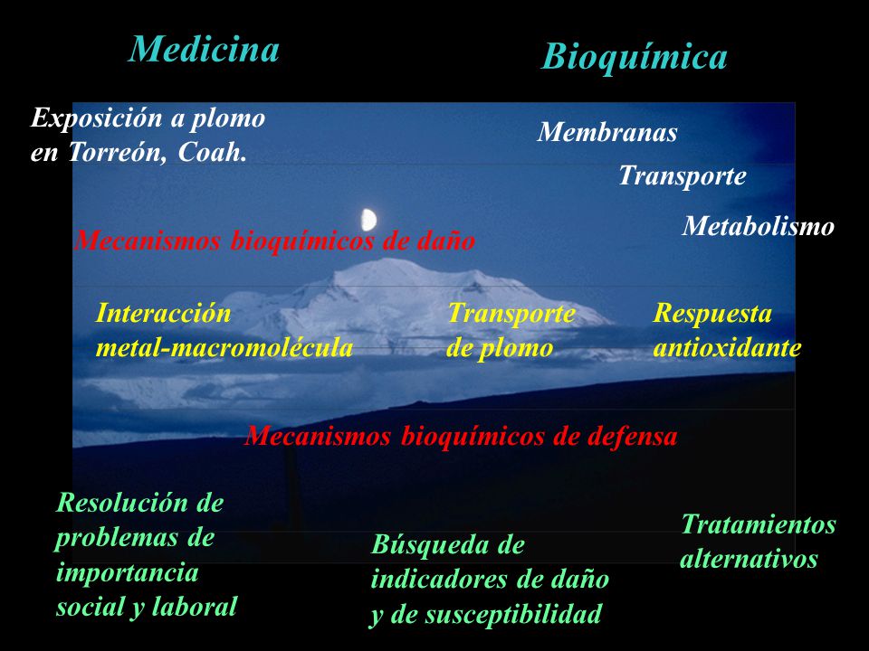 Medicina Bioquímica Exposición a plomo en Torreón, Coah. Transporte