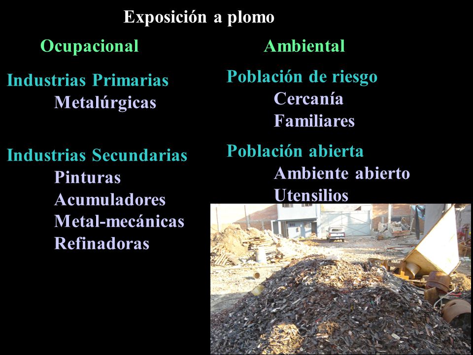 Exposición a plomo Ocupacional. Ambiental. Población de riesgo. Cercanía. Familiares. Población abierta.