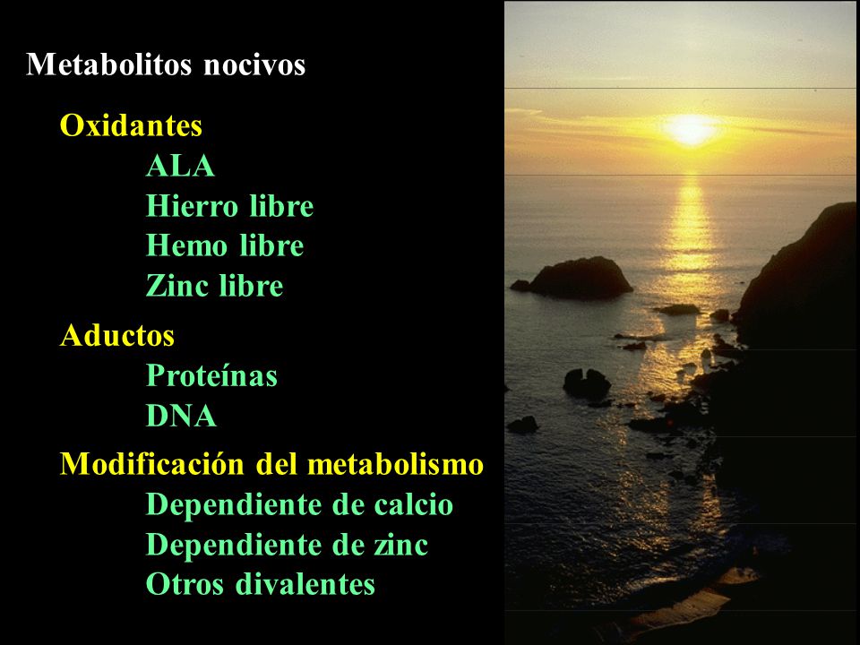 Metabolitos nocivos Oxidantes. ALA. Hierro libre. Hemo libre. Zinc libre. Aductos. Proteínas.
